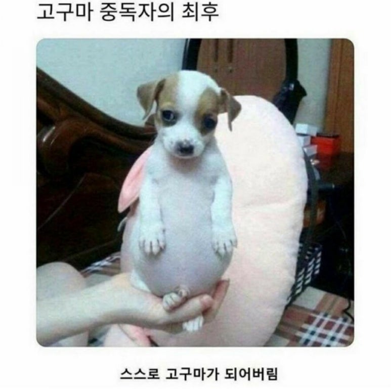 부영식당 이미지