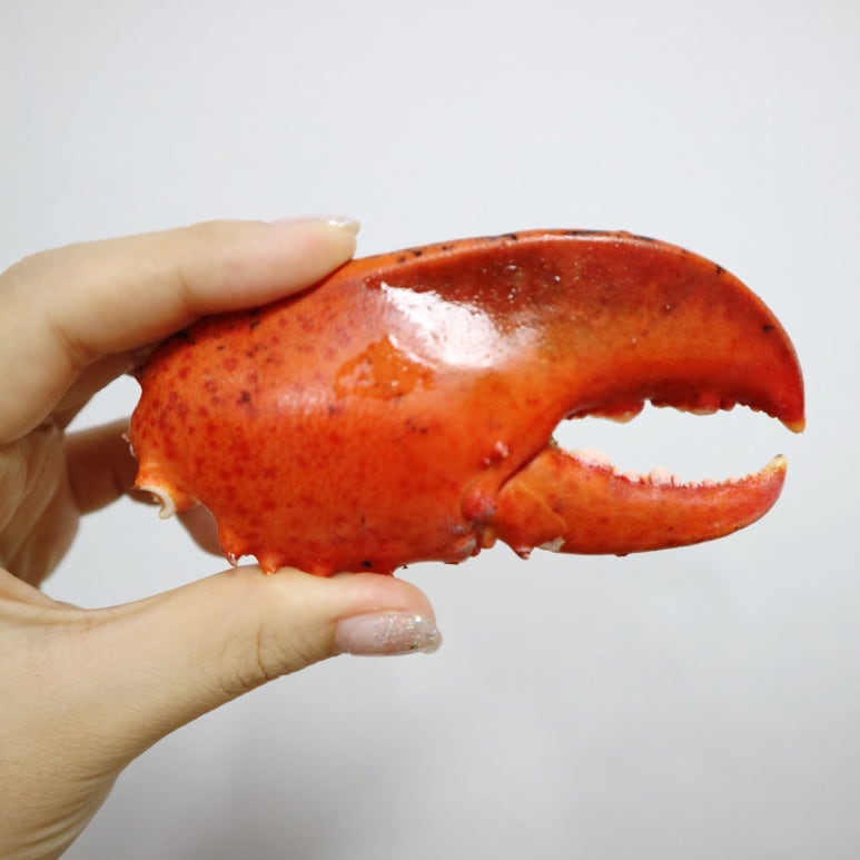 불타는랍스터 이미지