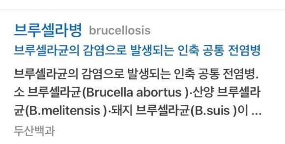 셀라통신 이미지