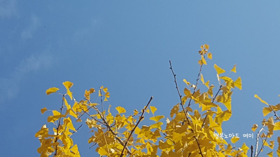 정스피치 이미지