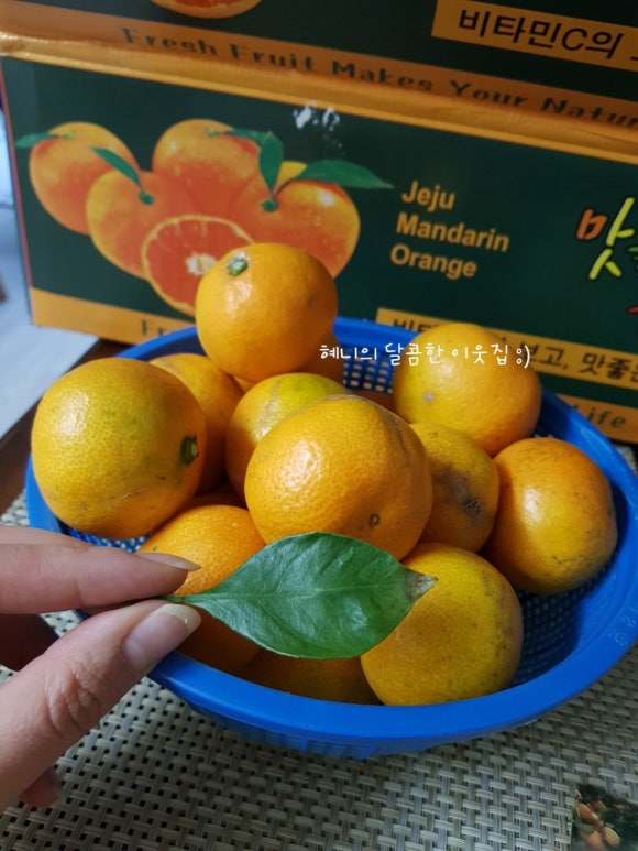 금실미용실 이미지