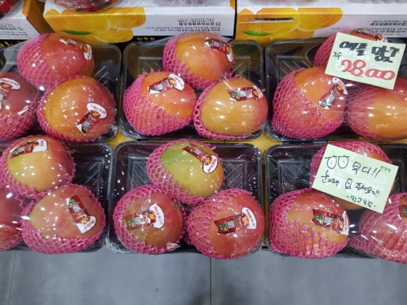 총각네수지 이미지