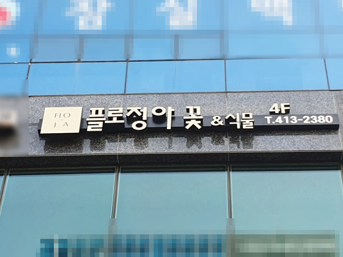 플로정아 이미지