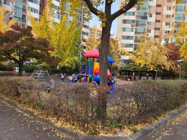 세신유치원 이미지
