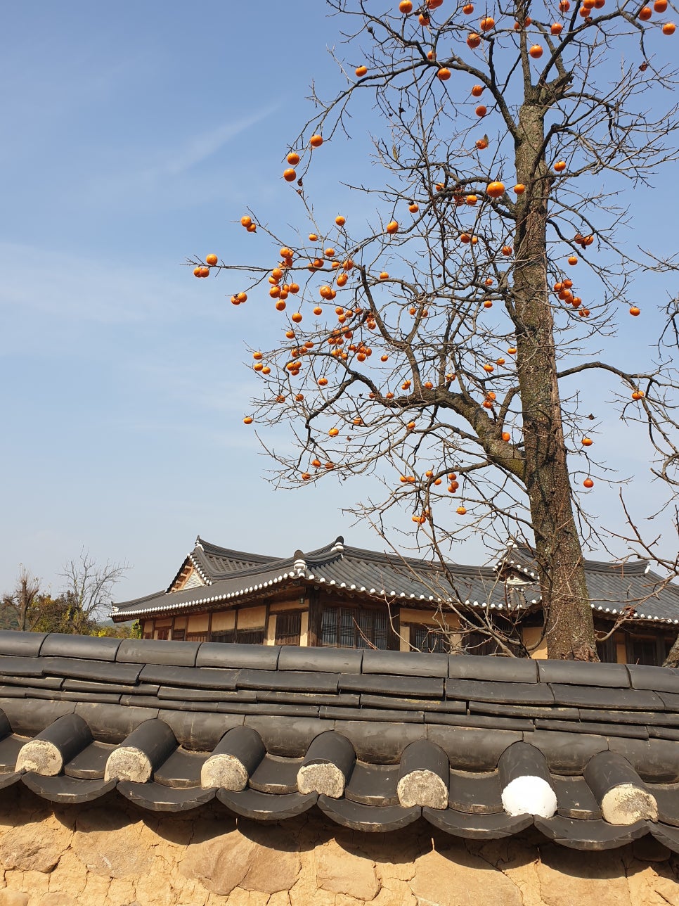 류정고택 이미지