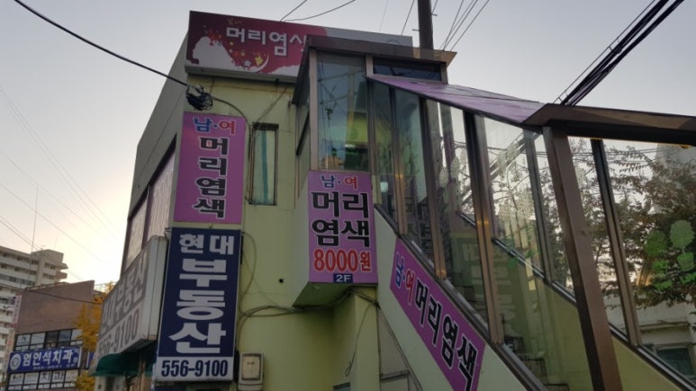 구피염색방 이미지