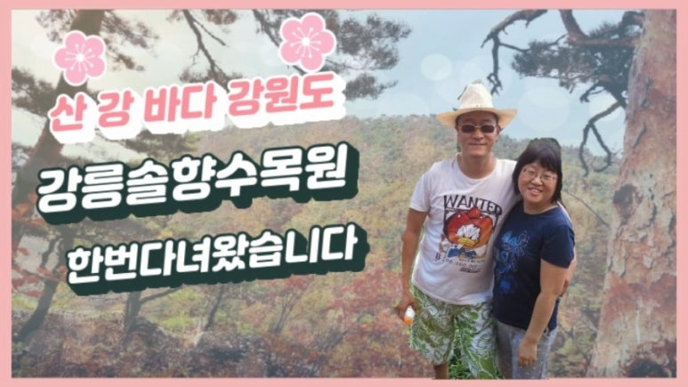 강릉솔향도시락 이미지