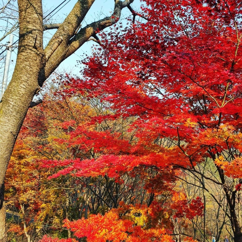케이밸리컨트리클럽 이미지