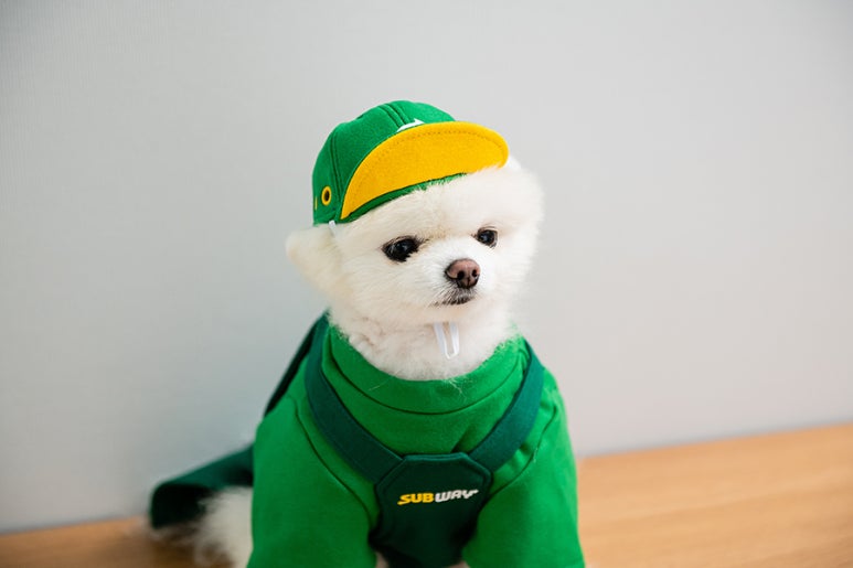 육남매필름 이미지