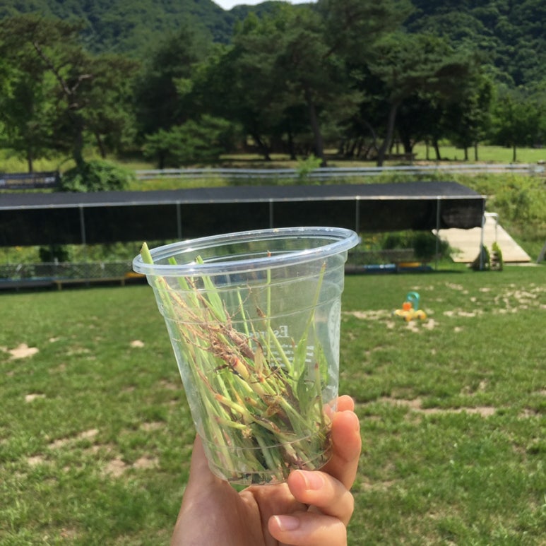 춘천우미닭갈비 이미지