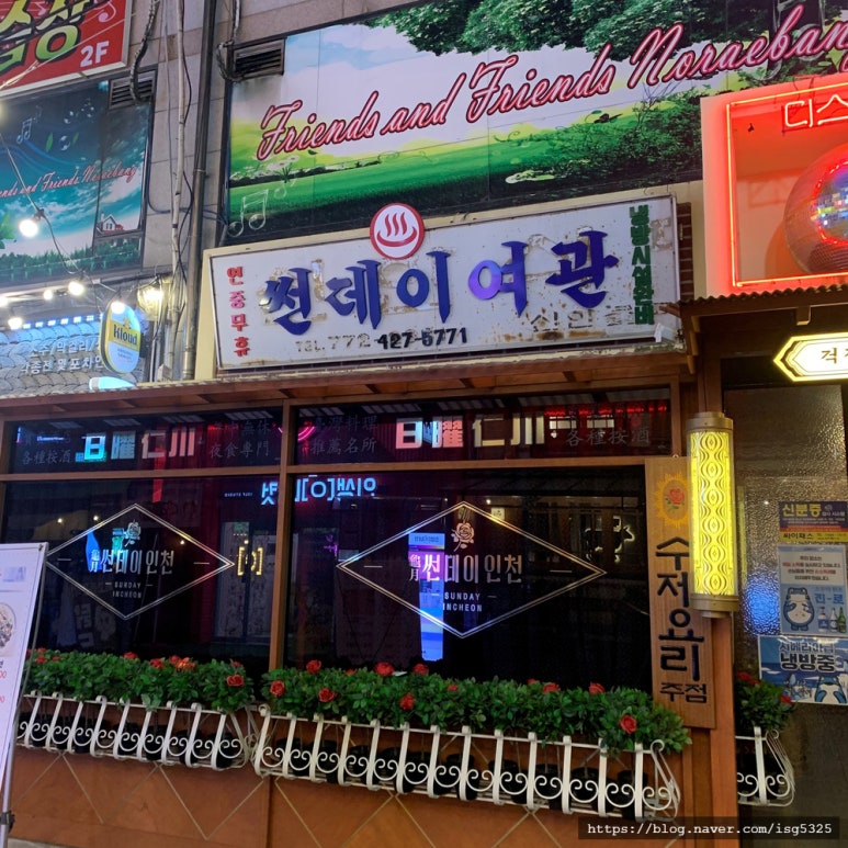 디스코포차 이미지