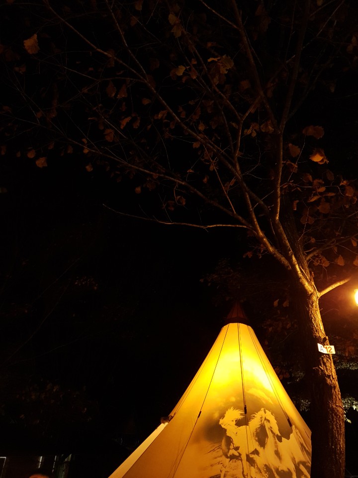 참나무숲오토캠핑장 이미지
