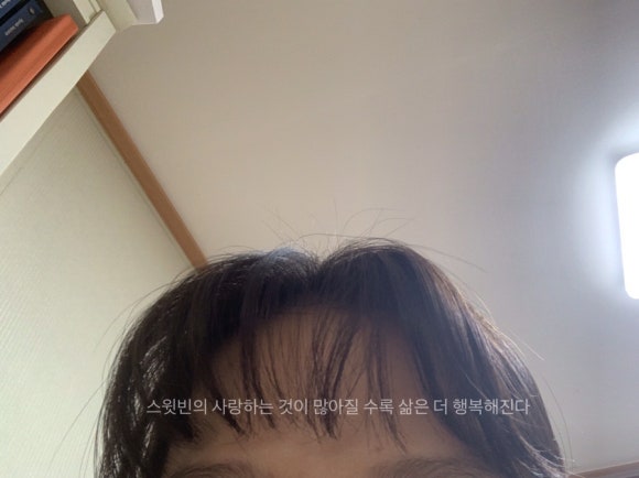 (주)도도레이블 이미지