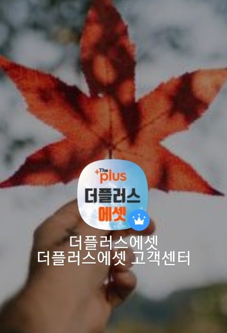 주식회사 플러스앤 이미지