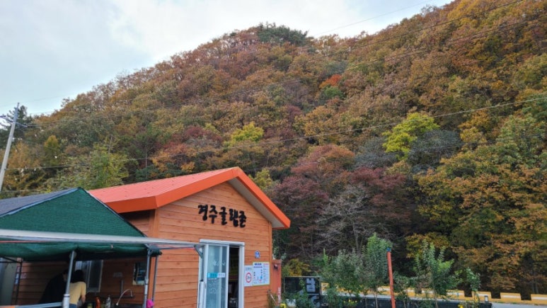 경주글램존 이미지
