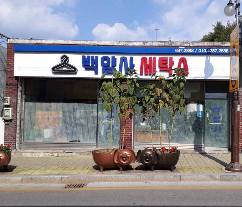 백양사세탁소 이미지
