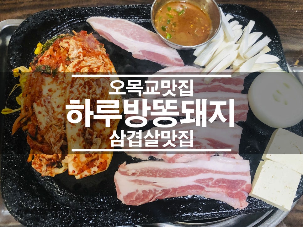 하루방똥돼지 이미지
