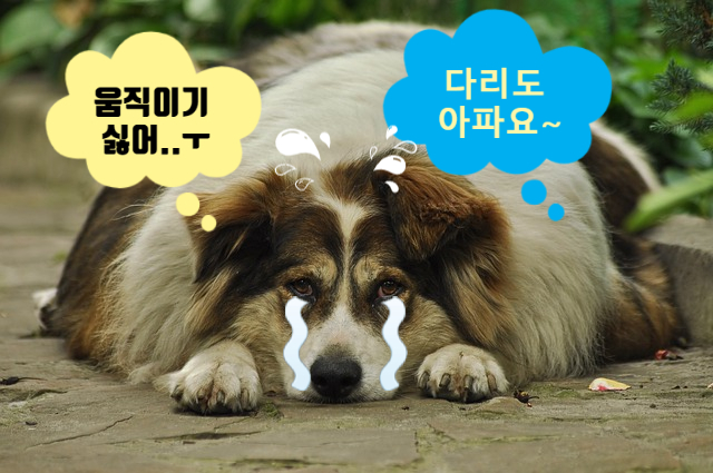 헬스라이프 이미지