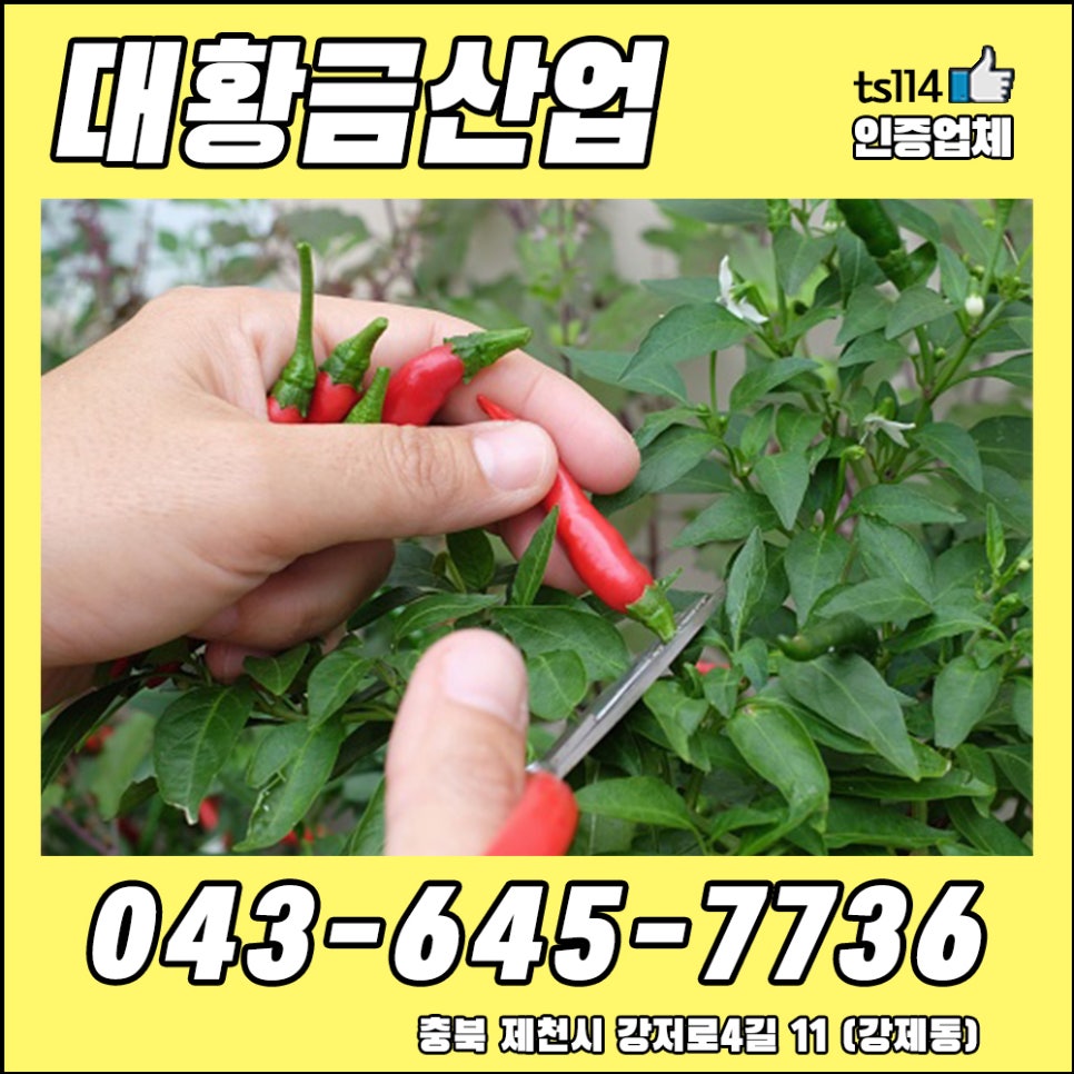 대황금산업 이미지