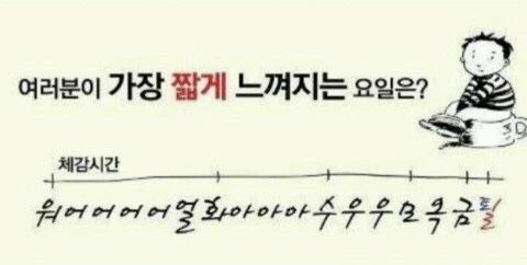 포핸즈 이미지
