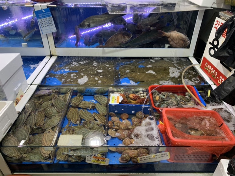 웅천수산 이미지