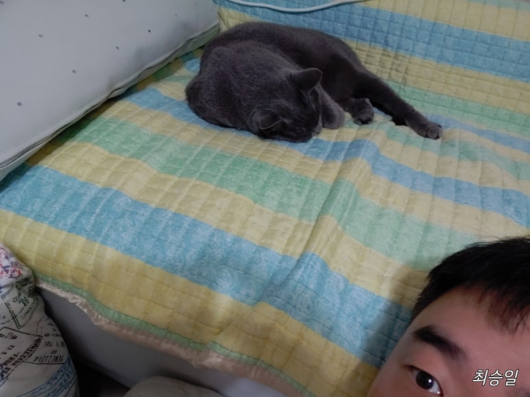 (주)라미미 이미지