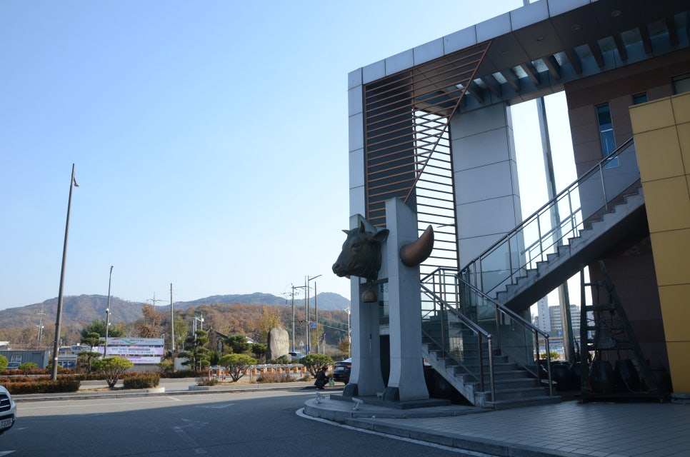 횡성로(횡성) 이미지