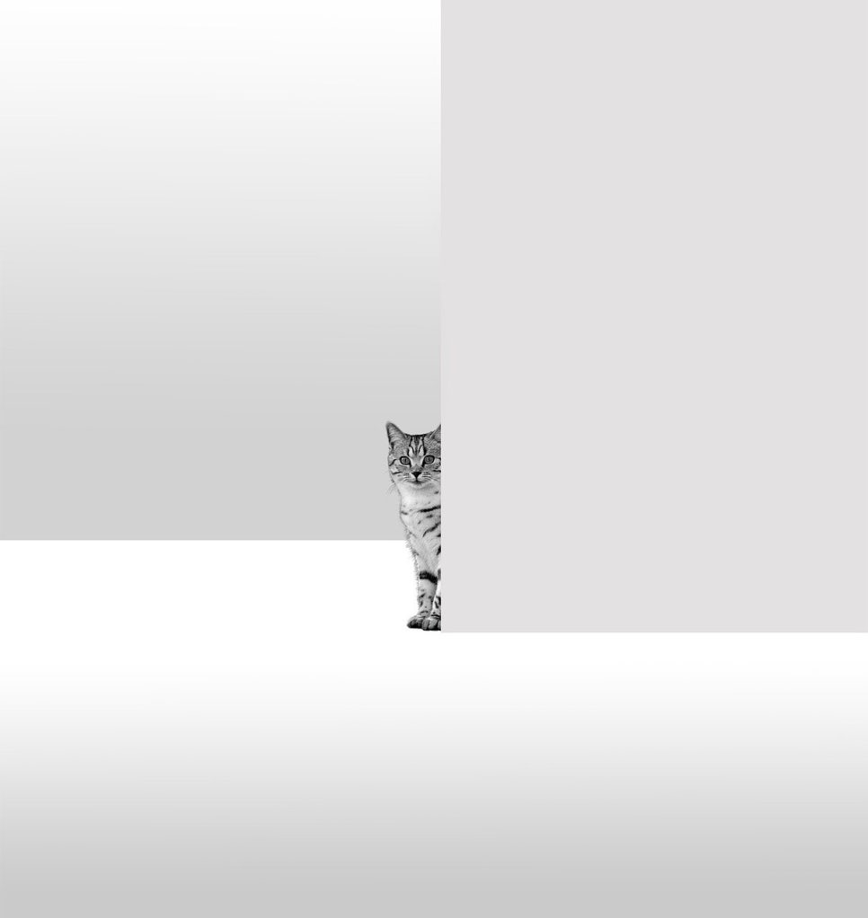 더라인네일 이미지