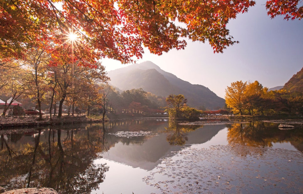 친절카서비스 이미지