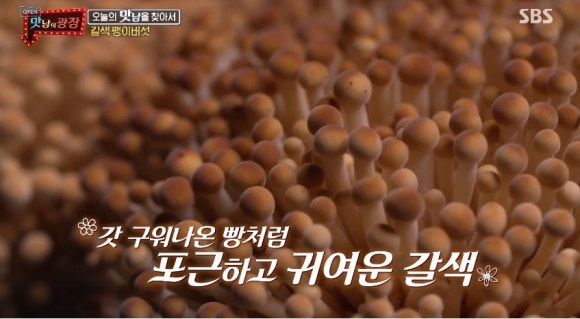 주식회사마이더스종합관리 이미지