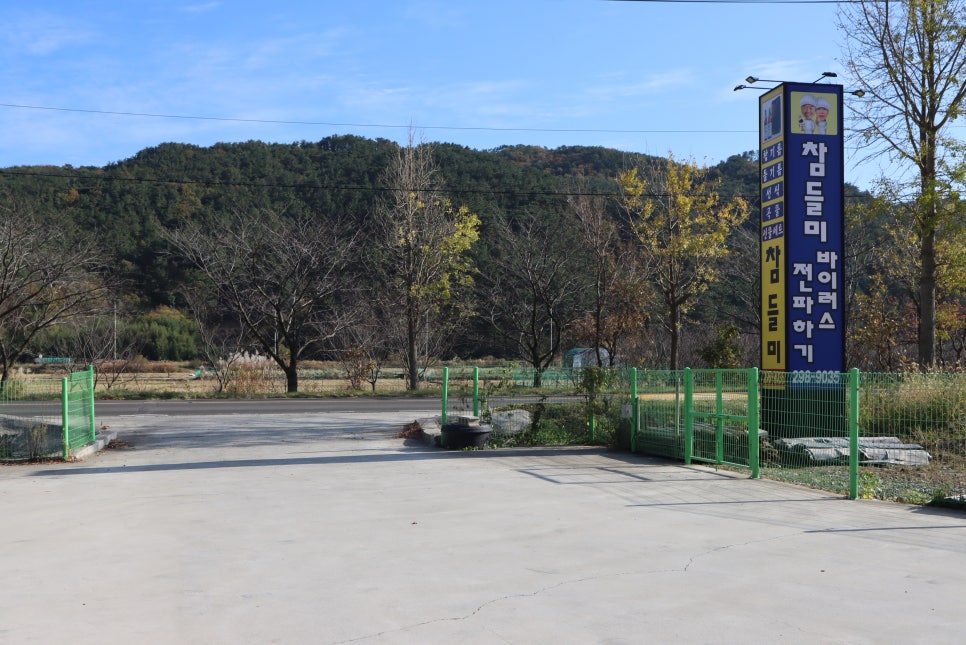 참들미 이미지