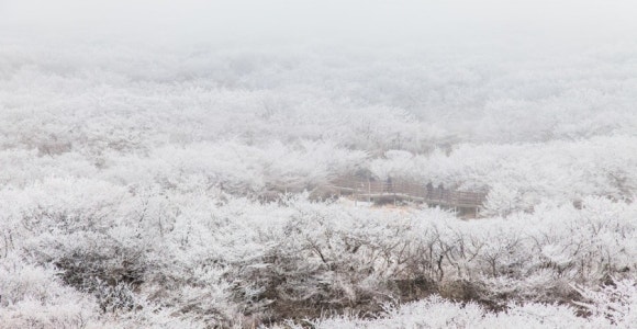 제주글로벌여행 이미지