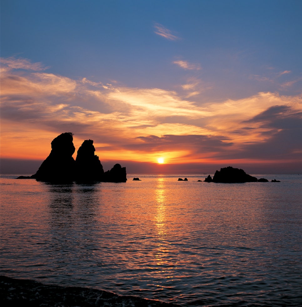 산호장 이미지