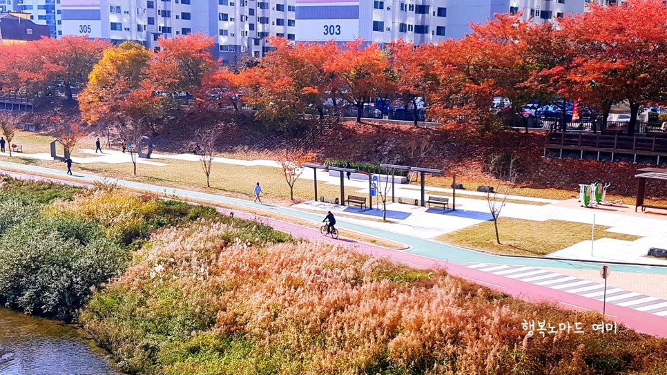 정스피치 이미지