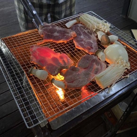 순천만놀러와5 이미지