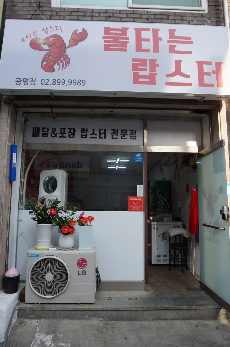 불타는랍스터 이미지