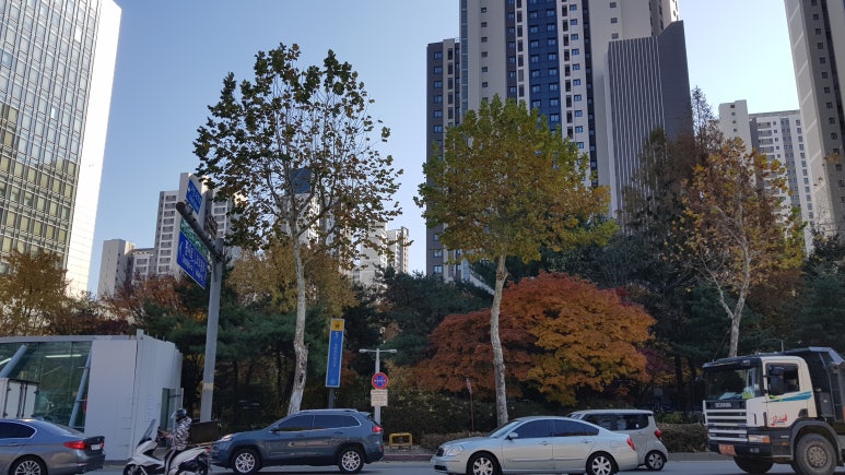 그린필드로드# 이미지