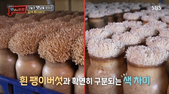 주식회사마이더스종합관리 이미지