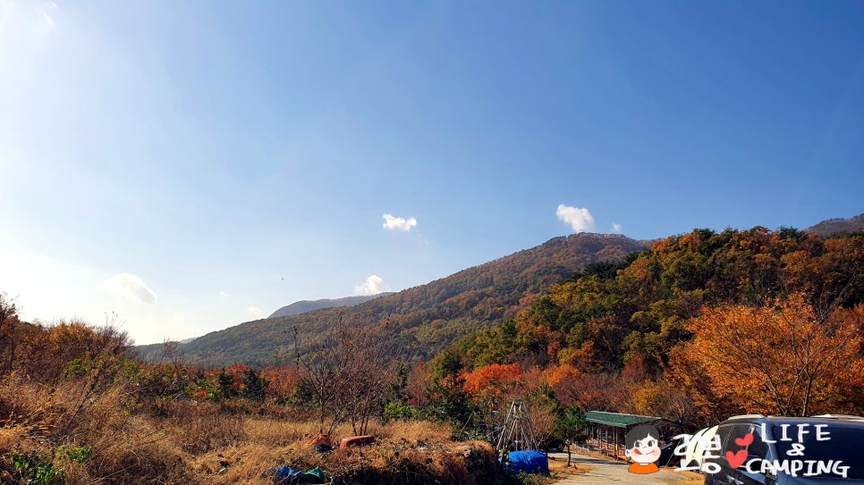 옥이쓰 이미지