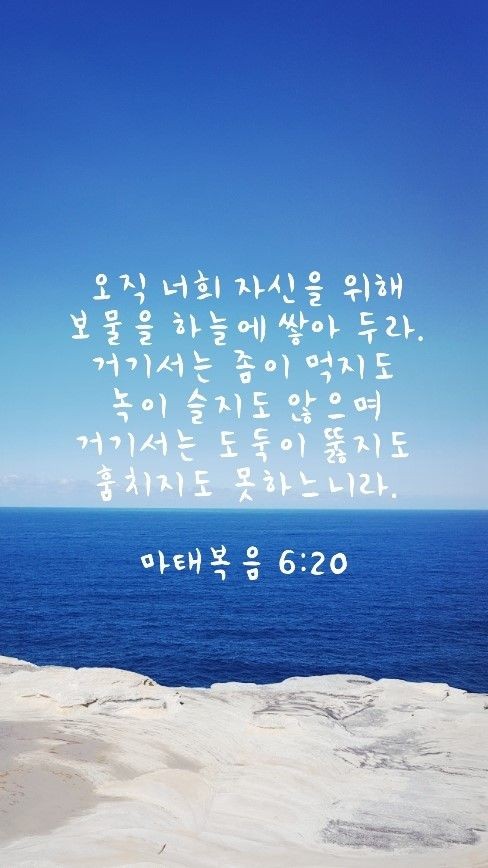 오늘의그릇 이미지