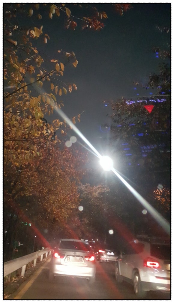 나짱더복 이미지