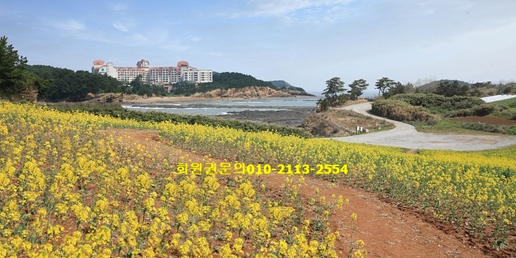 대명앤강산 이미지