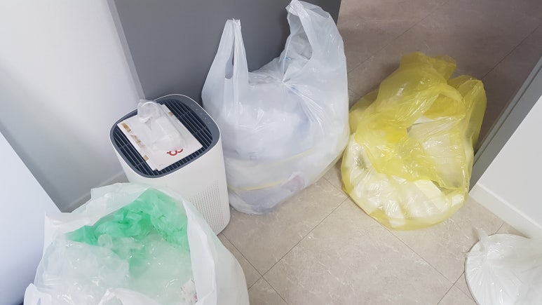 새집클로버 이미지