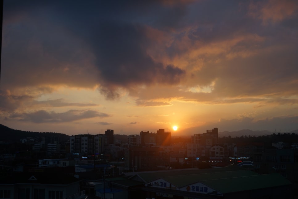 스위트브라운 이미지
