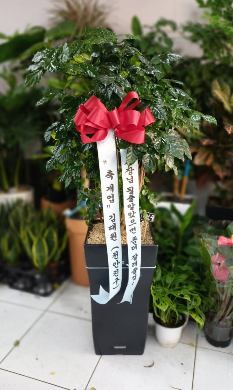 세븐일레븐대전태평벽산점 이미지