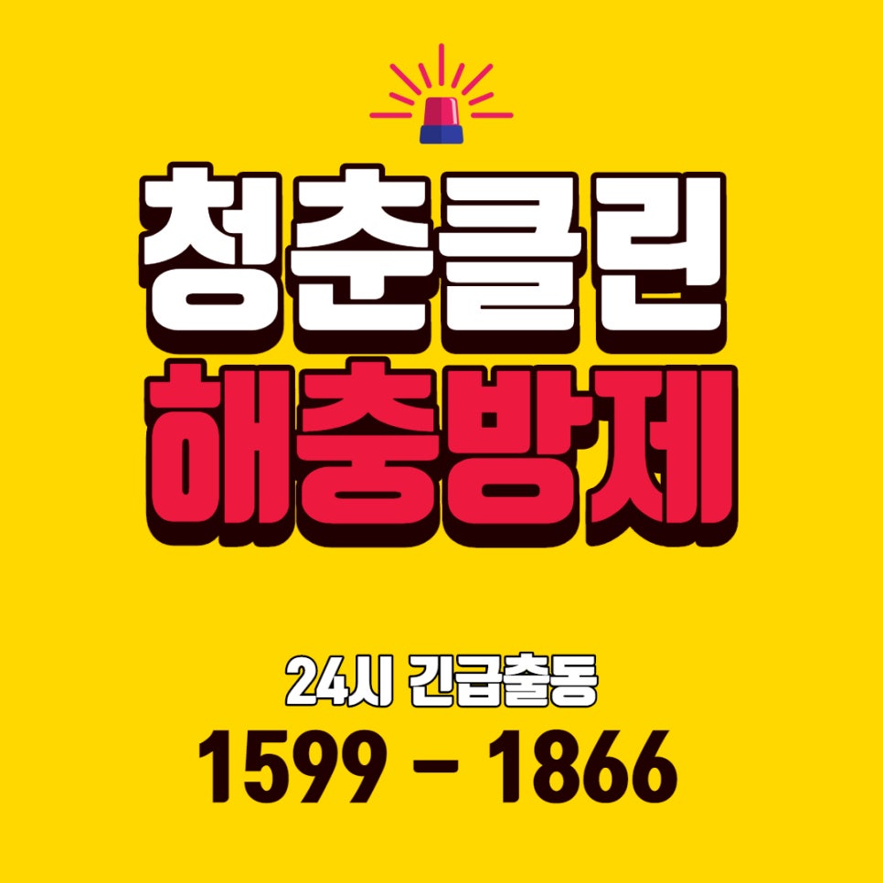 청춘클린 이미지