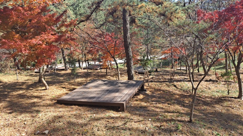 함평자연생태공원 유아숲체험원 이미지