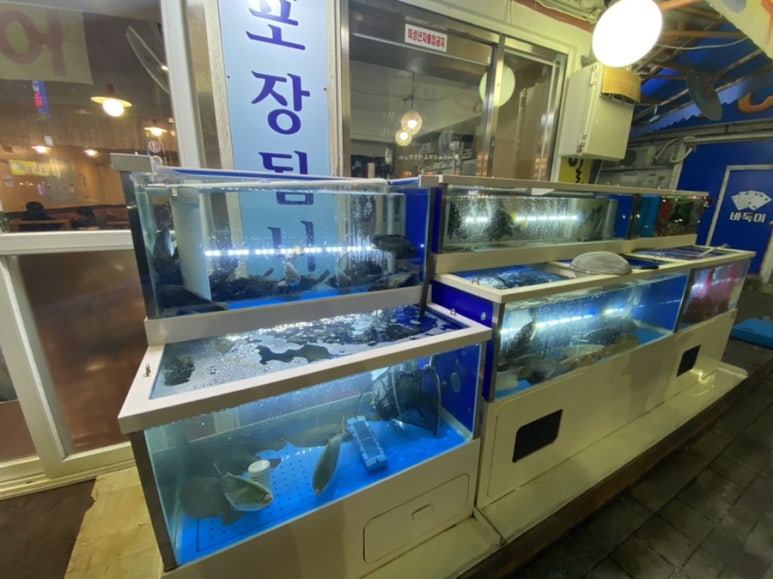 활어회세꼬시 이미지