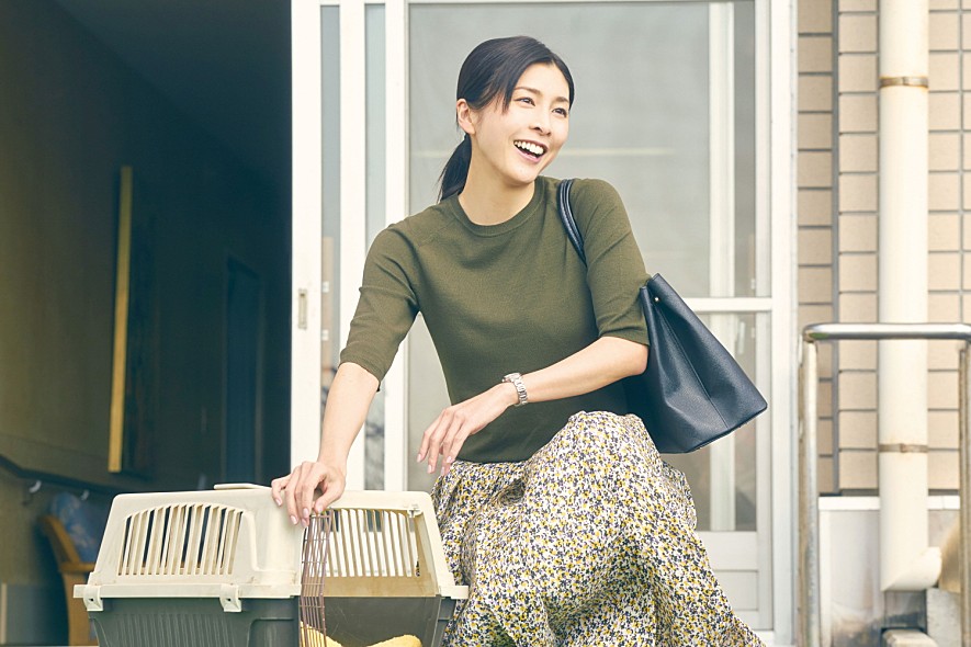 고양이 여행 준비 체크리스트
