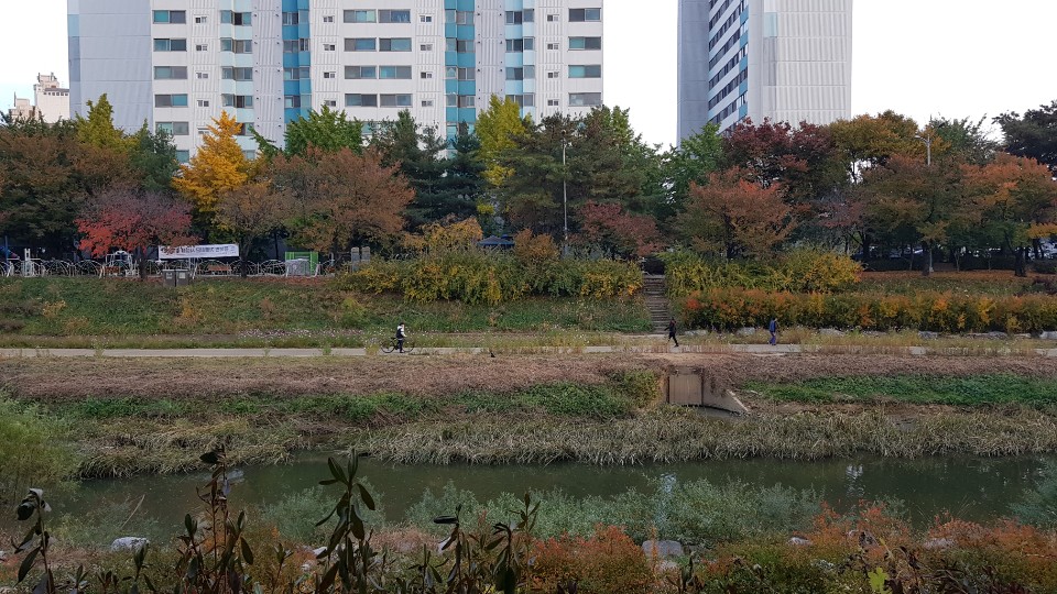 두바퀴 이미지